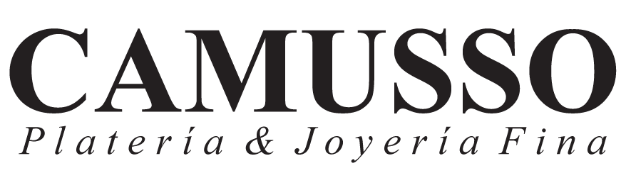 Logo Camusso blog